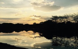 nov-2015-rains